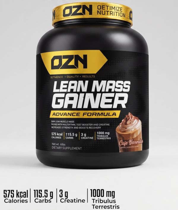 LEAN MASS GAINER